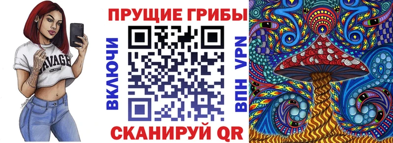 дарк нет официальный сайт Уварово Галлюциногенные грибы мицелий где можно купить наркотик